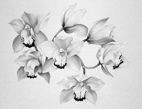 Floral flowers orchids draw metal artwork how to draw hands tattoo art drawings tattoo lettering shoulder tattoos. tattoo orchids flowers | Dessin de fleurs au crayon, Idées de tatouages, Tatouage orchidee