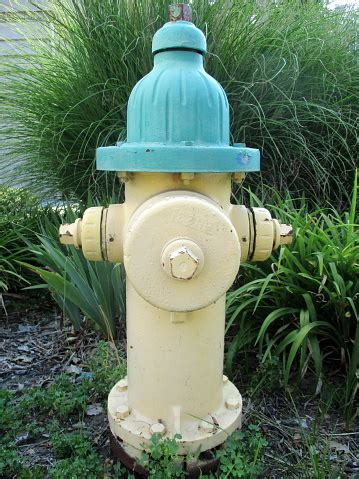 Download free png fire hydrant, firefighting, yellow, safety png. Blue And Yellow Fire Hydrant Near Courthouse Stock Photo ...