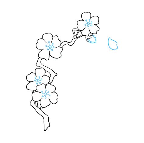 How To Draw Sakura Tree Step By Step