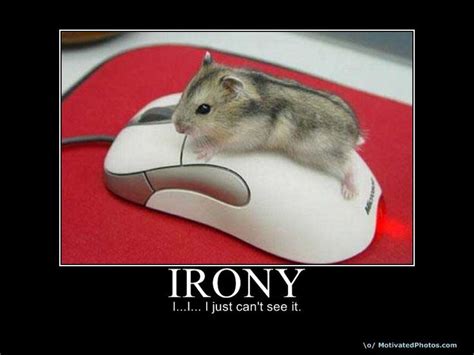 Pin By Lisa Myers On Lol Ironic Pictures Cute Animal Memes Irony