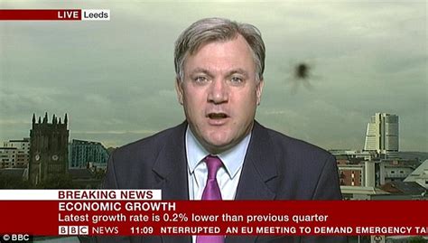 Live tv stream of bbc news broadcasting from united kingdom. Ed Balls photobombed by SPIDER during live BBC interview ...