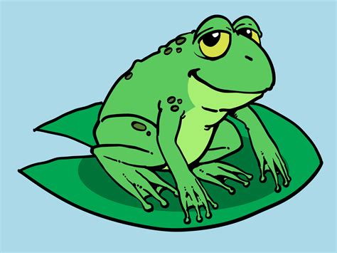 How To Draw A Cartoon Frog 10 Steps With Pictures Wikihow