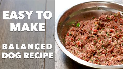 Heres An Easy To Make Balanced Homemade Adult Dog Food Meal