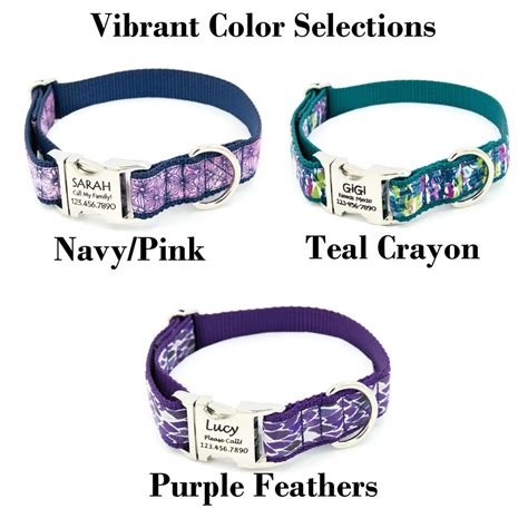 Vibrant Engraved Dog Collar With Laser Engraved Buckle Etsy