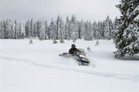 Breckenridge Snowmobile Rentals And Tours Insider Families