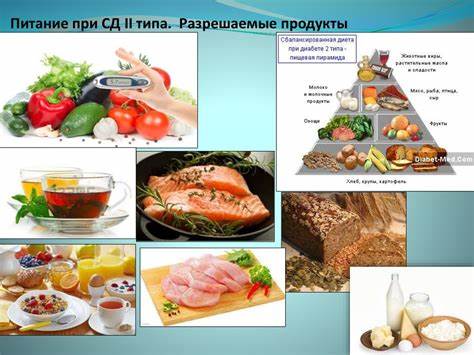 Список мед диет