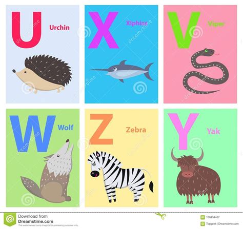 Animals That Start With Letter U Anlma