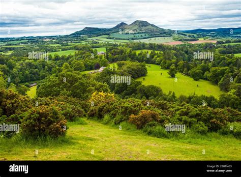 The Three Peaks Of Eildon Hill Seen From Scott´s View Eildon Hill Lies