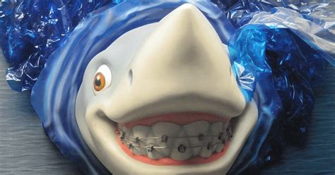 They will replace teeth that are. Fun Facts About Shark Teeth | Adelberg Pediatric Dental