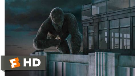 King Kong 810 Movie Clip Climbing The Empire State Building 2005