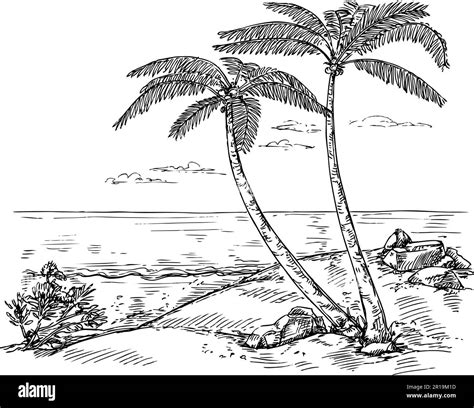 Sketch Landscape With Palm Tree Vacation On Tropical Beach Paradise