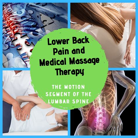 Lower Back Pain And Medical Massage Therapy The Motion Segment Of The Lumbar Spine