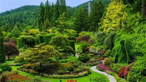 Picture Canada Butchart Gardens Victoria Nature Lawn Trees 3840x2160