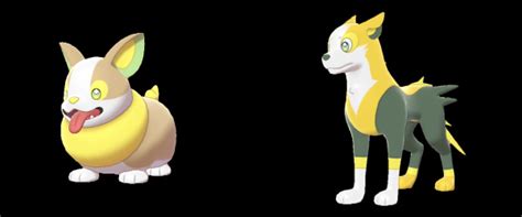 Yamper Pokemon Coloring Pages / 1 - 20 best pokemon sword and shield