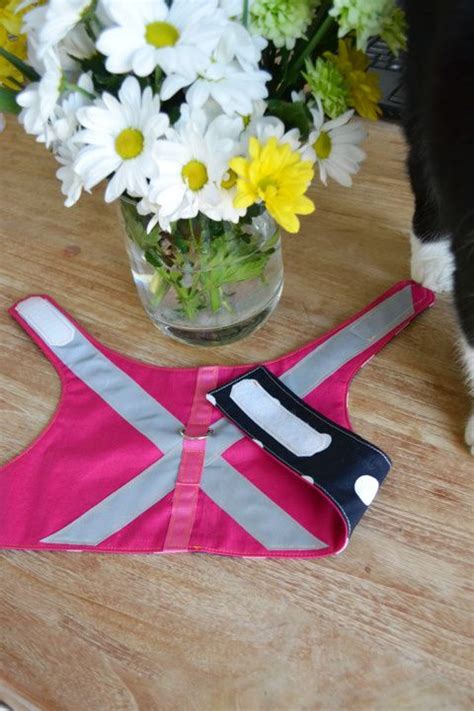 Yes You Can Walk A Cat Cat Harness Kitten Harness Cat Diy