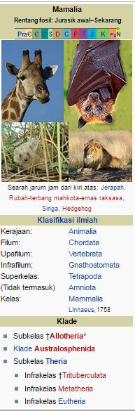 We did not find results for: Ciri-Ciri Morfologi Dan Anatomi Berbagai Hewan Vertebrata ...