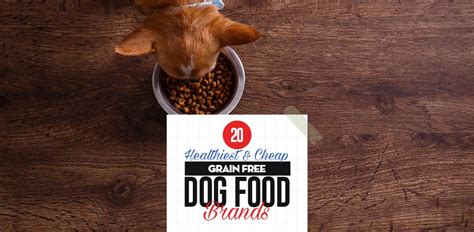 Grain free homemade dog food. Top 20 Cheap Best Grain Free Dog Food Brands in 2018
