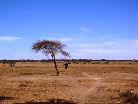 Souvenir Chronicles Africa Visit To A Maasai Village Tanzania