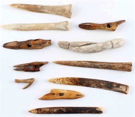 Lot Lot Of 11 Native American Bone And Shell Tools
