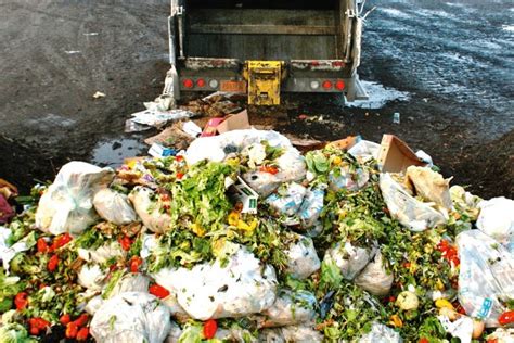 We are now throwing away 15 times more food and organic material compared to just four years ago. Malaysia's Food Waste Needs Tackling - Clean Malaysia