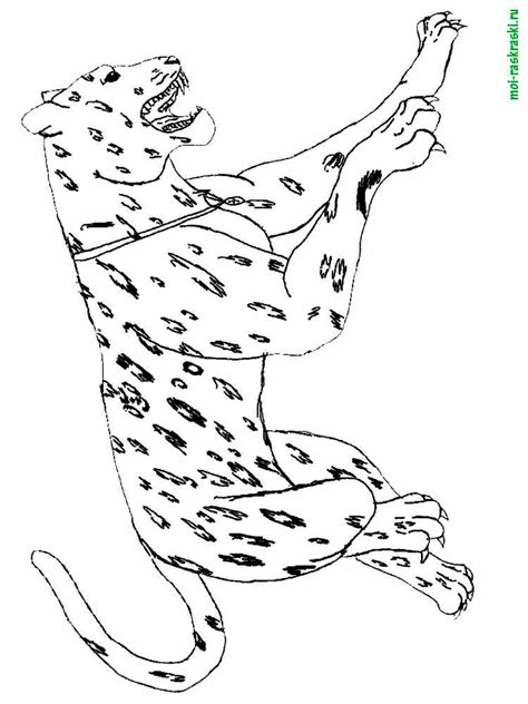 Free Wild Animal Coloring Pages Download And Print Wild
