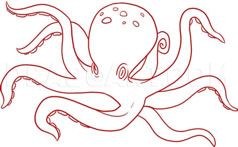 how to draw an octopus by dawn