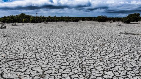 Declaran Desastre Natural Por Sequía En Veracruz N