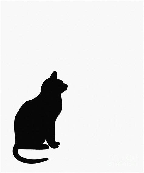 Black Cat Silhouette On A White Background Digital Art By Barbara A