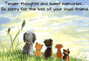 O god, as we have taken care of (pet's name) in life, we ask that you watch over (him/her) in death. Have you lost a beloved pet? | Rainbow bridge, Pet loss ...