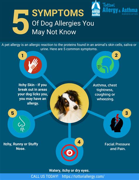 27 Excited Dog Allergic To Food Symptoms Picture 8k Uk