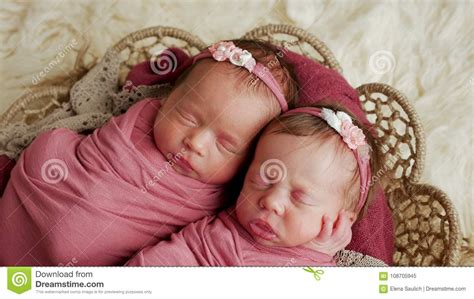 Twins Sisters Newborn In The Winding And In A Basket Stock Image