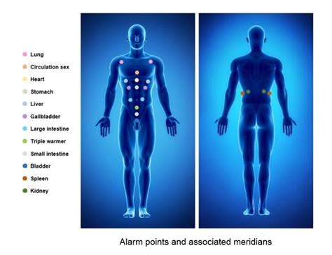 Acupuncture Meridian Alarm Points Acupressure Acupressure Treatment