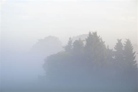 Free Images Landscape Tree Nature Mountain Cloud Sky Fog