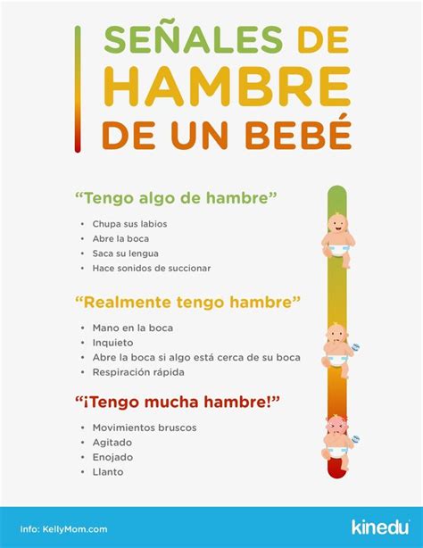 Se Ales De Hambre En Tu Beb Beb Mam Maternidad Se Alesdehambre