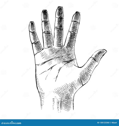 Sketched Palm Hand Gesture Stock Vector Illustration Of Gesturing