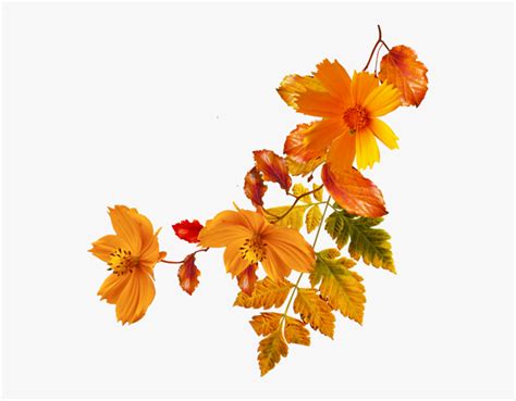 Autumn Flowers Pumpkins Clipart Illustrations Creative Market