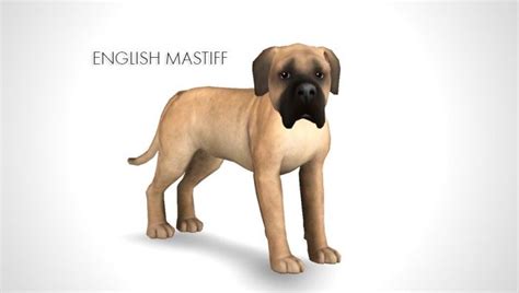 Sims 4 Cane Corso