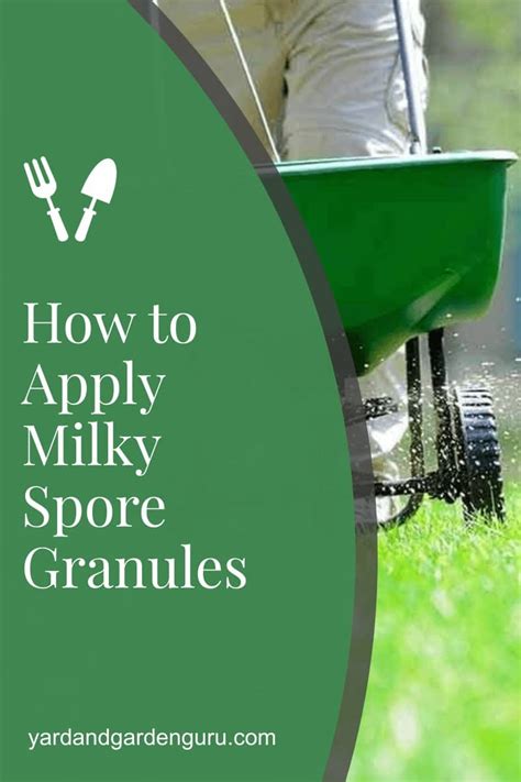 Can i use triazicide granules in my garden. How to Apply Milky Spore Granules