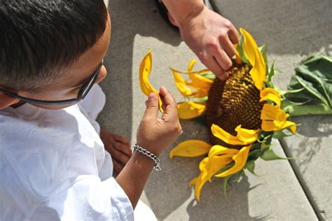 Horticultural Therapy Anchor Center For Blind Children