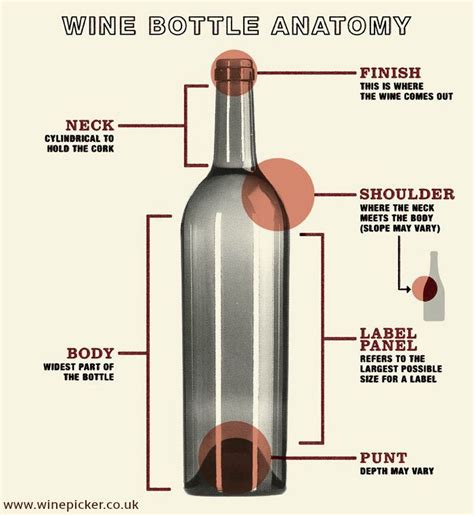 Wine Bottle Anatomy Wine Bottle Wine Packaging Wine