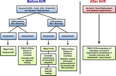 Time To Treat Hypertension In Patients With Aortic Stenosis Circulation