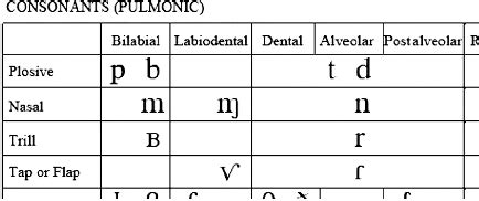 Partial View Of The Pulmonic Consonants Section Of The Ipa Chart