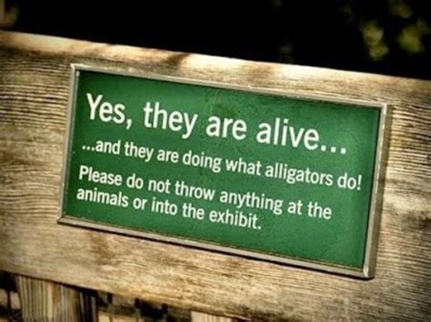40 Funny Zoo Signs That Are Better Than Tapping On The Glass