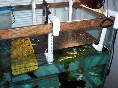 Diy Pet Turtle Tank Basking Platform Aquatic Turtle Habitat Aquatic