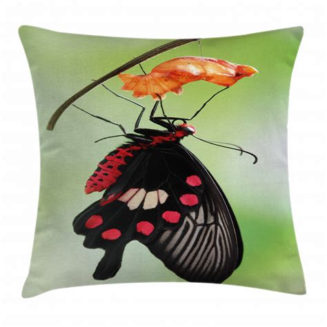 Swallowtail Butterfly Throw Pillow Cushion Cover Amazing Moment Coming