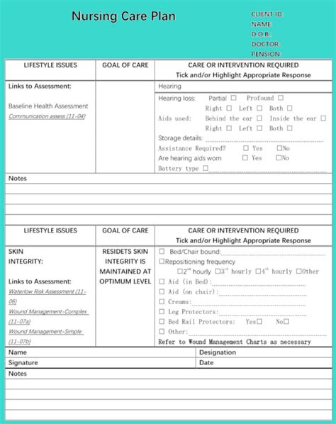Chronic Care Management Care Plan Template