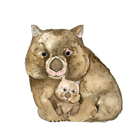 Illustration Pen And Watercolour Wombat Love Limited Edition Print