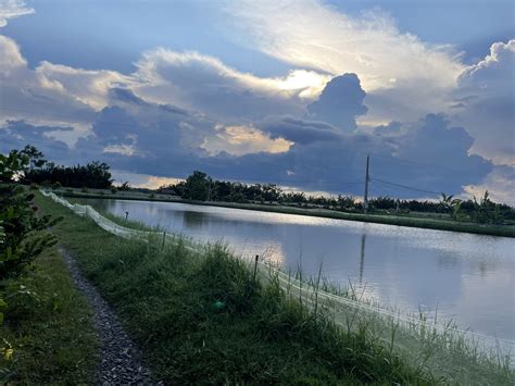 A Luxury Mekong Delta Tour to Hidden Gems with Local People Day Tour