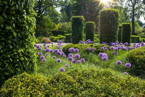 6 Tips On Designing Your Dream Garden