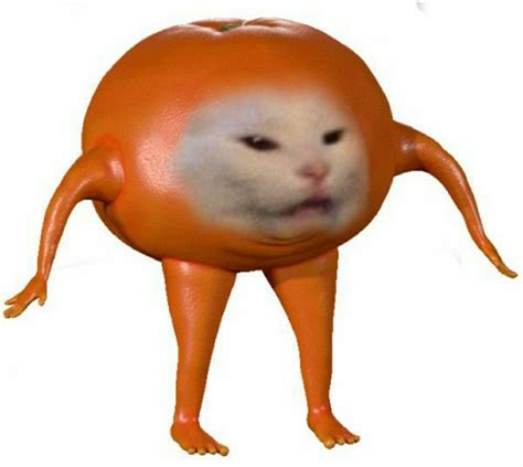 Cursed Tomato Funny Cat Faces Funny Reaction Pictures Funny